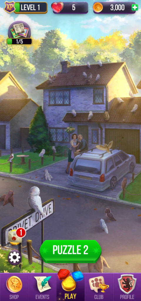 Harry Potter: Puzzles and Spells